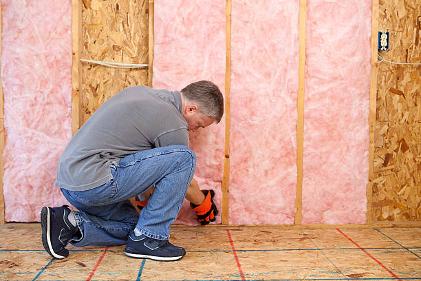 Best Insulation for Existing Homes  in Lemoore, CA